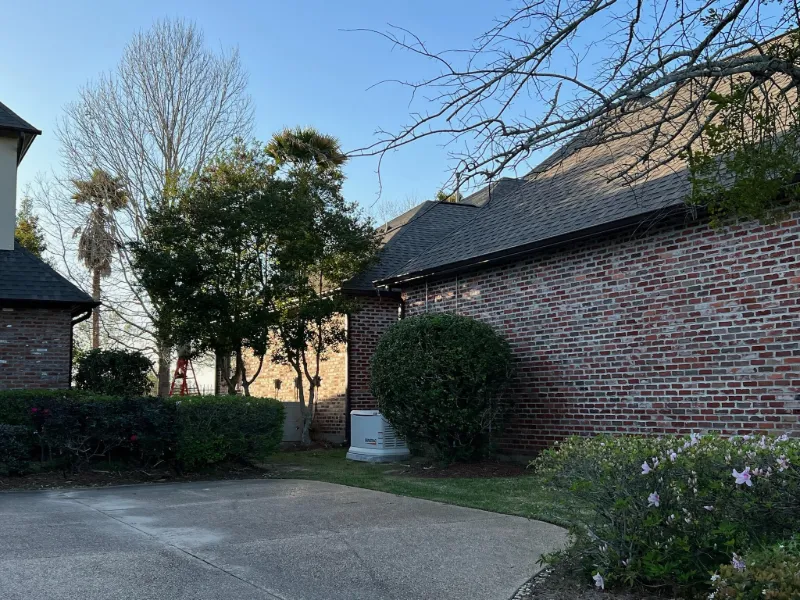 brick house driveway palm trees gonzales la
