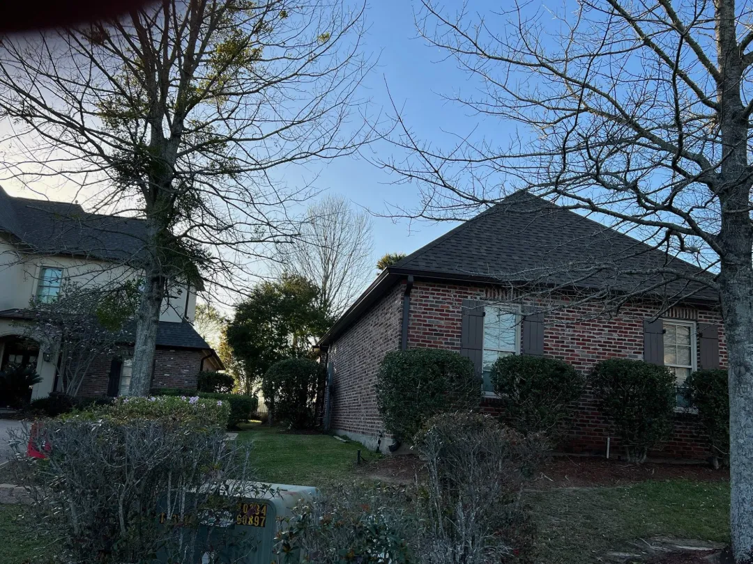 brick light colored houses bare trees denham springs la