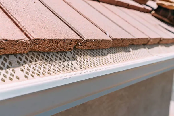 gutter filter on house clay roof