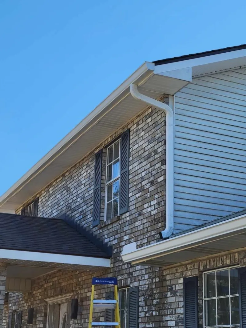 roofline and gutters on siding home in baton rouge