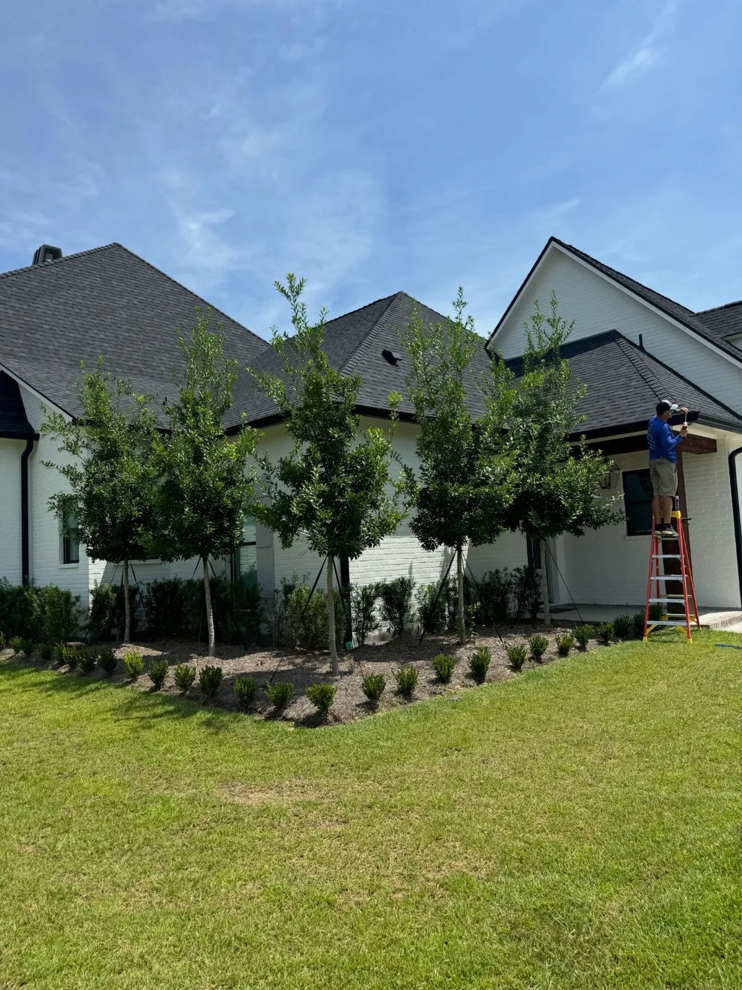 worker ladder house denham springs la performance